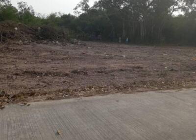 vacant land with trees in the background