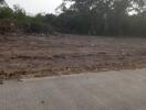 vacant land with trees in the background