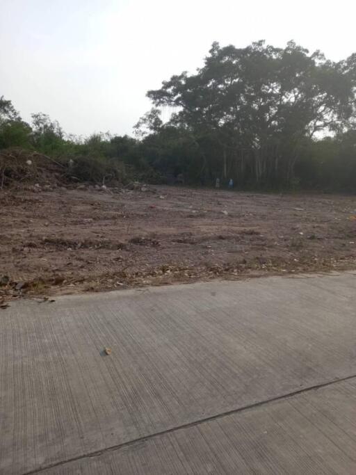 vacant land with trees in the background