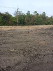 Empty lot with trees in the background