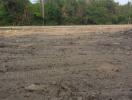 Empty lot with trees in the background