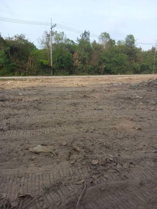 Empty lot with trees in the background