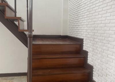 Wooden staircase with decorative wall