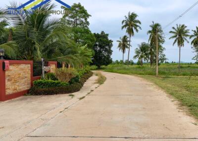 Driveway leading to property with tropical landscaping