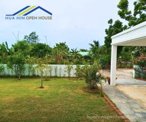 Front yard with greenery and driveway