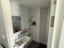 Modern bathroom with a walk-in shower and a white sink