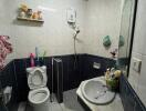 Bathroom with essential sanitary fittings