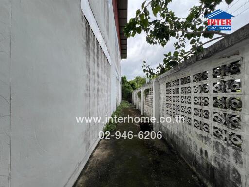 Pathway beside building with wall and vegetation