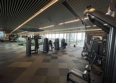 Modern gym with various workout machines