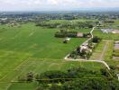 Aerial view of expansive green fields with some buildings and a road