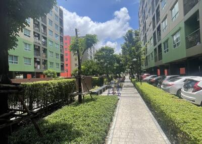 Sidewalk between residential buildings