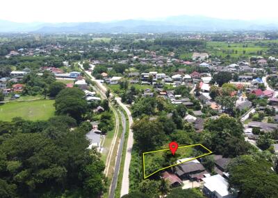 Aerial view of a lush green neighborhood