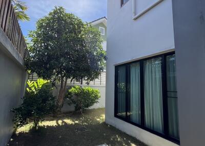 Side yard with trees and adjacent building