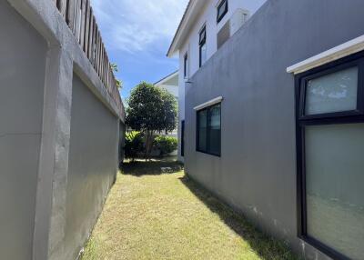 Narrow side yard of a residential home