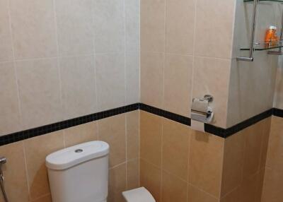 Modern bathroom with toilet and shelves