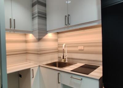 Modern kitchen with monochrome cabinetry and backsplash