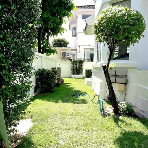 Lush green garden area next to a modern house