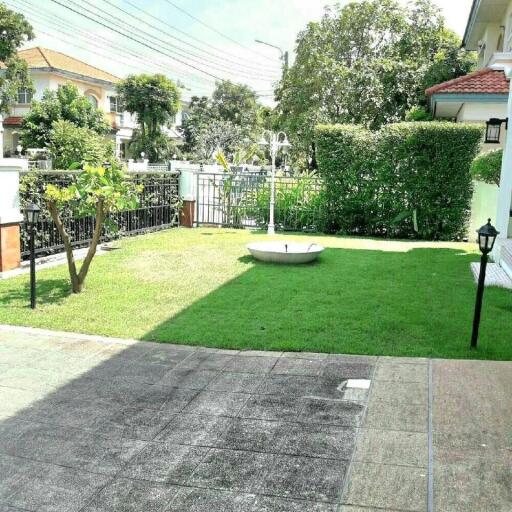 spacious backyard with green lawn and paved area