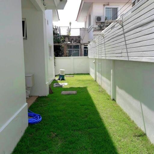 Backyard lawn area between buildings