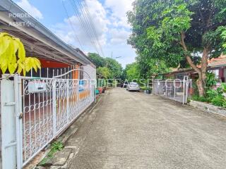 Driveway with parked cars and trees