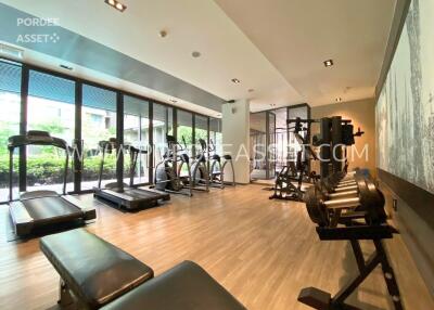 Modern gym with various fitness equipment and large windows