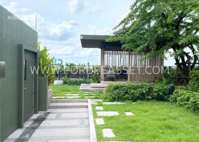 Modern garden with greenery and outdoor seating area