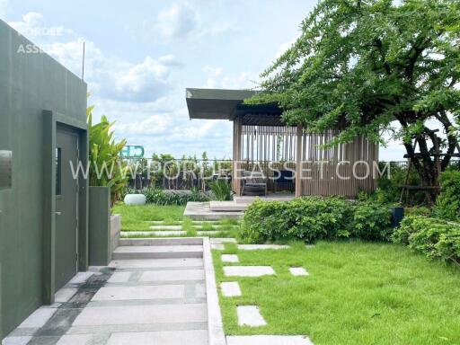 Modern garden with greenery and outdoor seating area