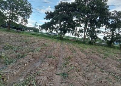 field with agricultural land and trees