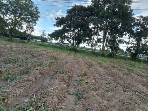 field with agricultural land and trees