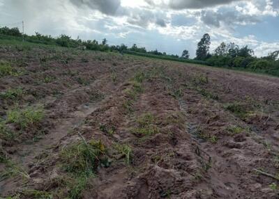 Agricultural land under a cloudy sky