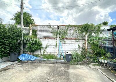 Outdoor space with concrete flooring and vegetation