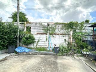 Outdoor space with concrete flooring and vegetation