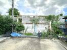 Outdoor space with concrete flooring and vegetation