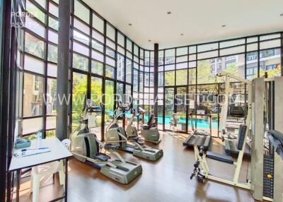 Spacious gym with modern equipment and large windows overlooking a pool and greenery