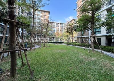 Spacious outdoor lawn area with surrounding buildings