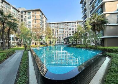 Swimming pool in a modern apartment complex with surrounding green space