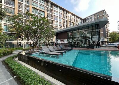 Outdoor pool area with lounge chairs and greenery in a residential building complex