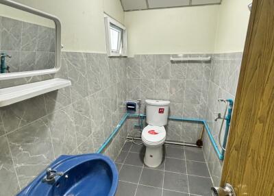 Bathroom with blue sink and toilet