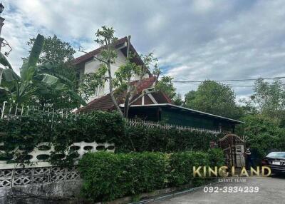 Exterior view of a house surrounded by greenery