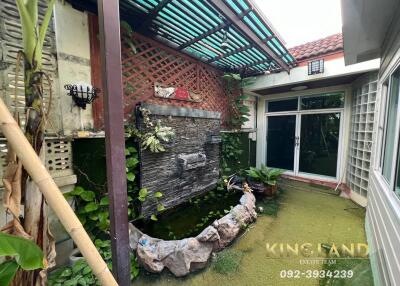 Cozy backyard space with a small pond and greenery