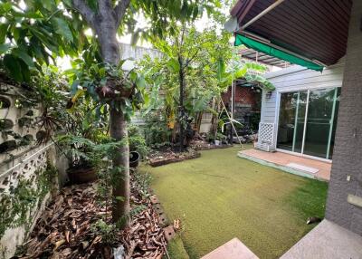 Lush garden with grass and trees