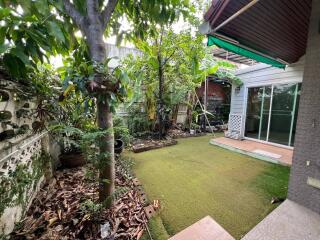 Lush garden with grass and trees