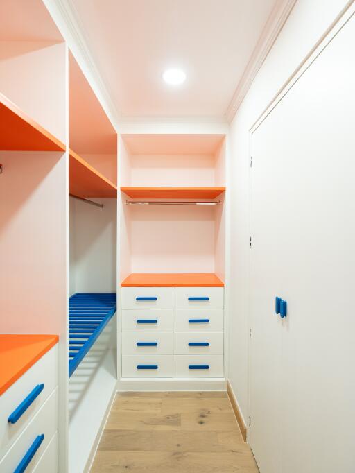 Well-organized closet with vibrant shelves and storage drawers