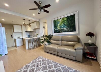 Modern living room with a sofa, kitchen area, and decorative elements