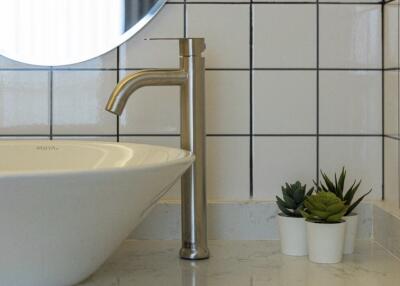 Modern bathroom sink with plant decor