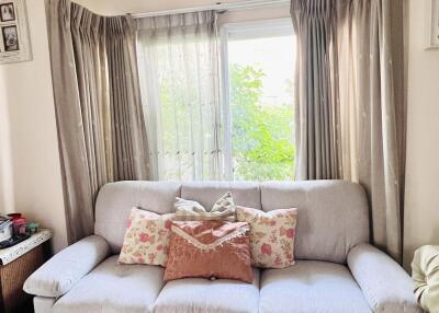 Living room with a grey sofa and decorative pillows