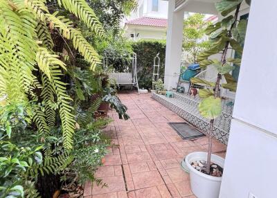 Outdoor patio with lush greenery