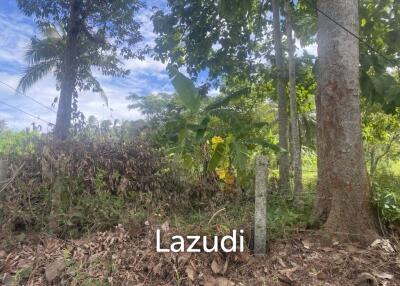 1 Rai near to Windfield and LIS Freehold Land in Lamai