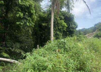 3 Rai of Freehold Land in Lamai, Ko Samui