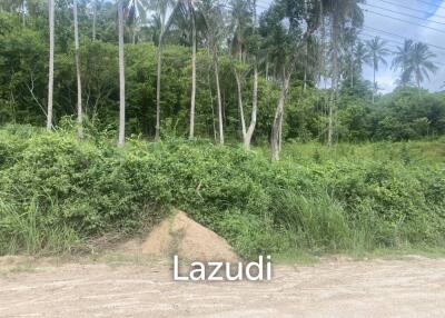 1100sqm of Affordable Freehold Land in Scenic Lamai